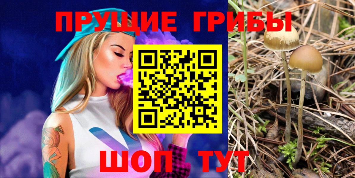 Псилоцибиновые грибы GOLDEN TEACHER Подольск